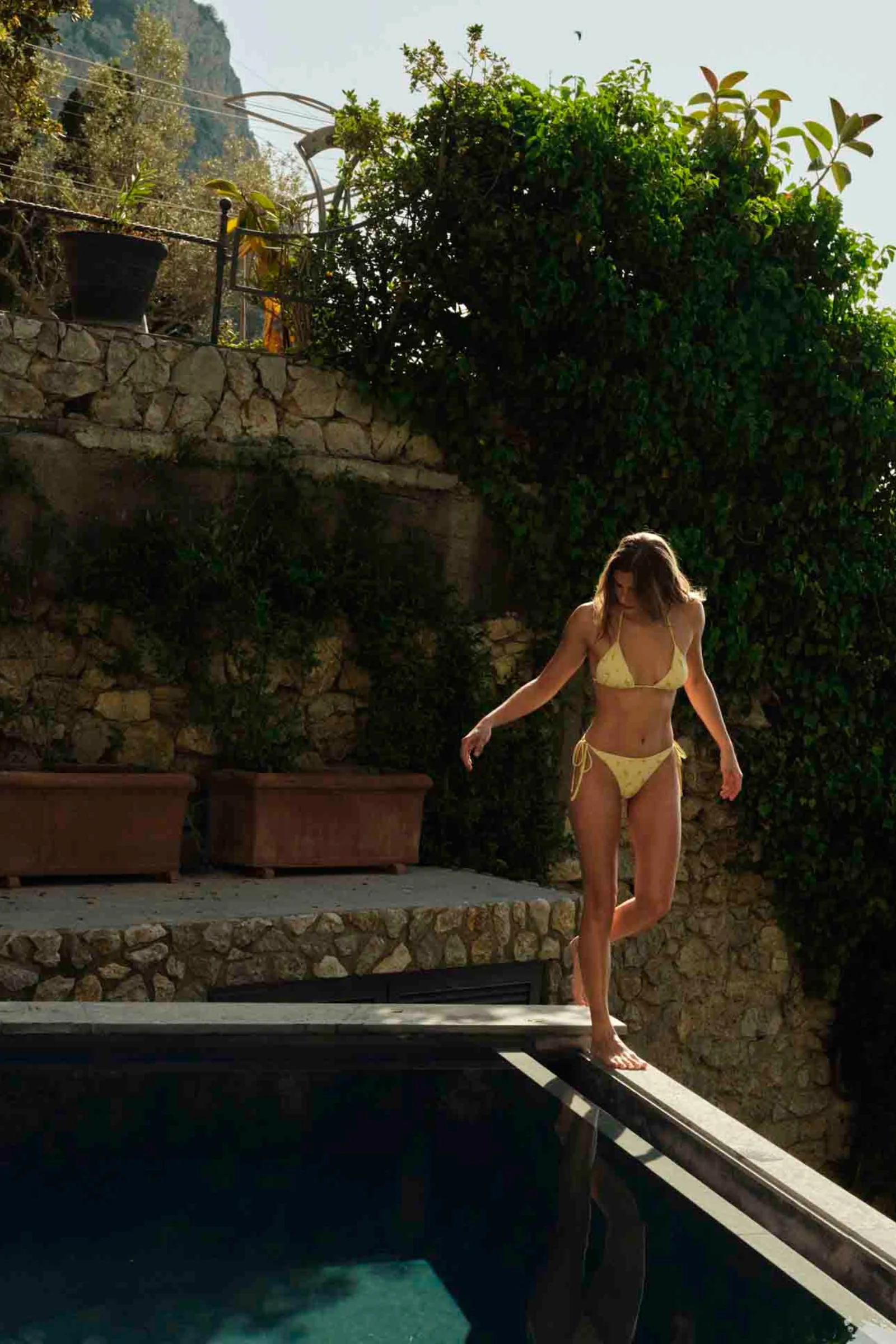 Cassis Bikini Bottom - Image 4